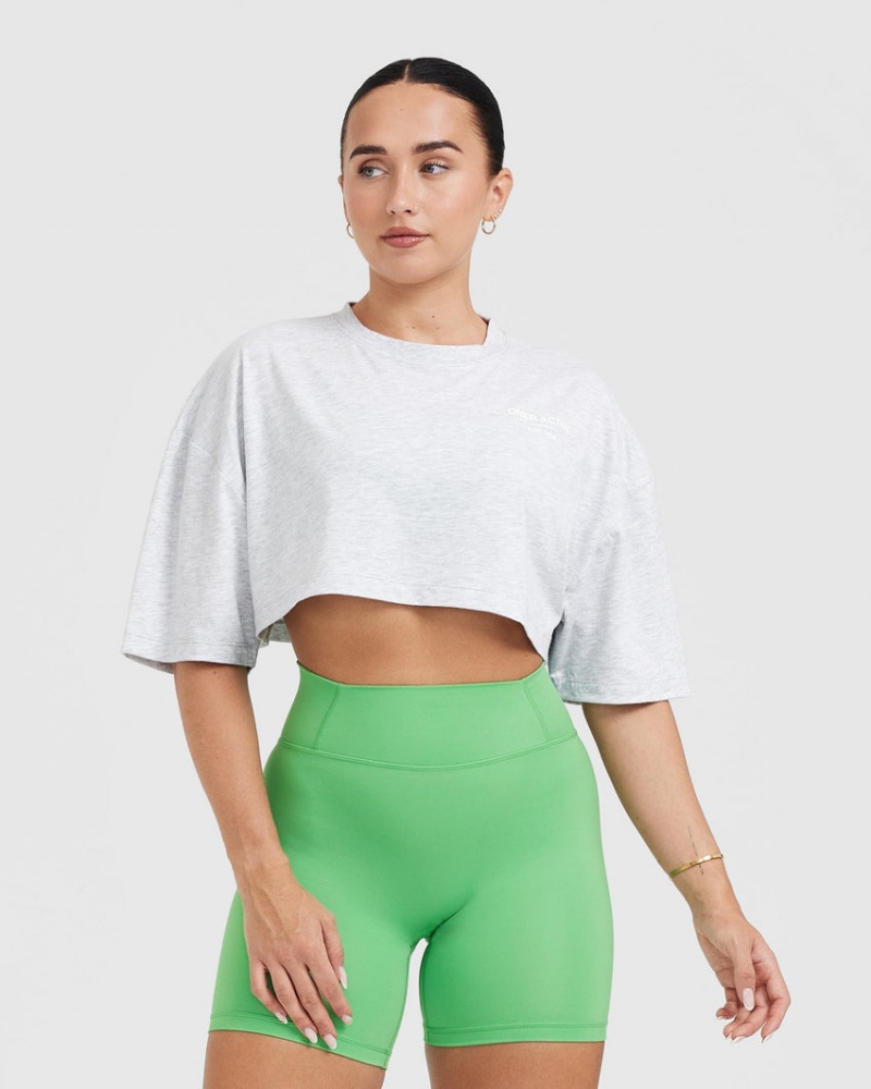 Oner Active κλασικα Lifters σταμπεσ Relaxed Crop ελαφρια μπλουζακια ανοιχτο γκρι | GMF802619