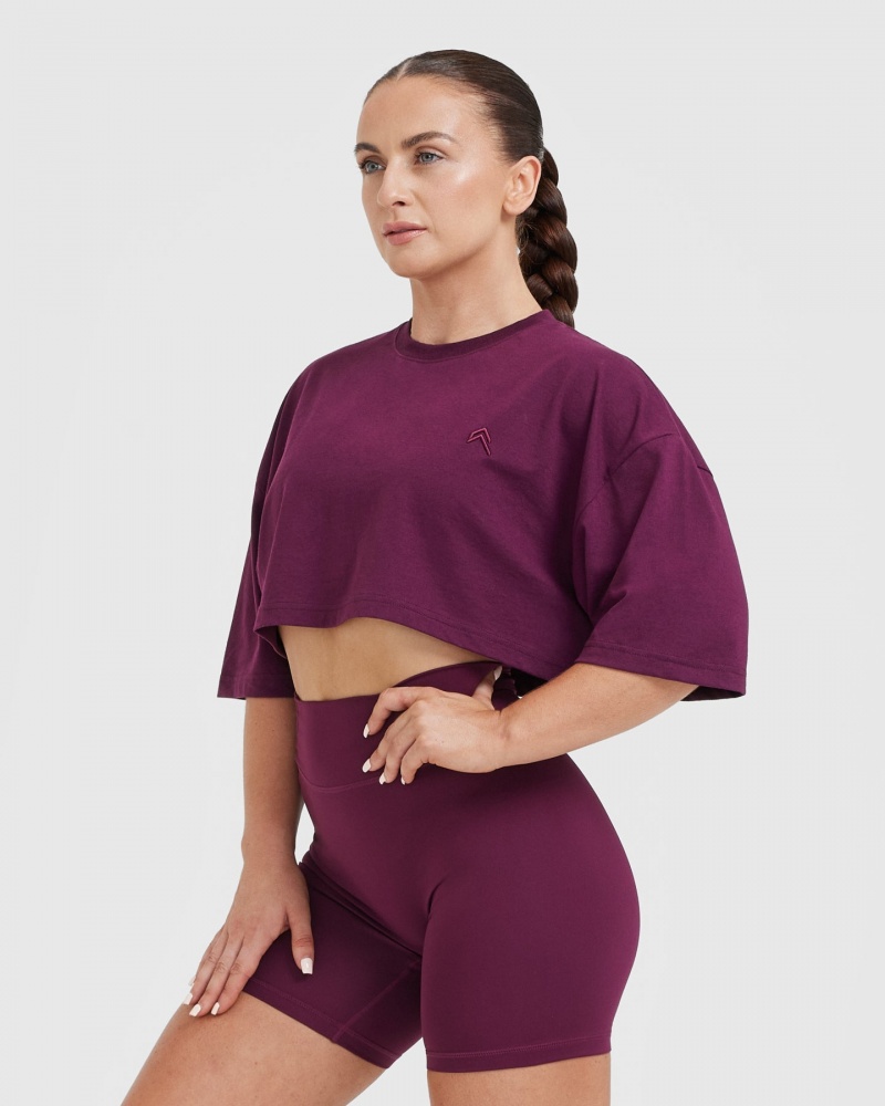 Oner Active κλασικα Relaxed Crop ελαφρια μπλουζακια μωβ | GLX162457