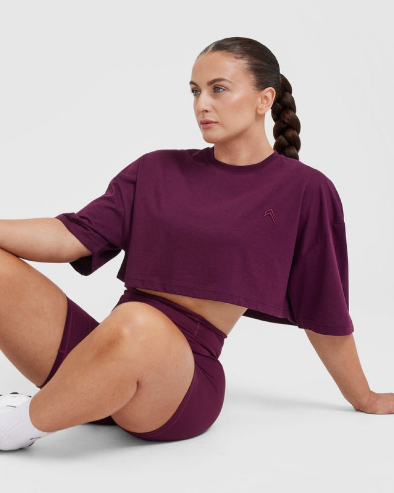 Oner Active κλασικα Relaxed Crop ελαφρια μπλουζακια μωβ | GLX162457