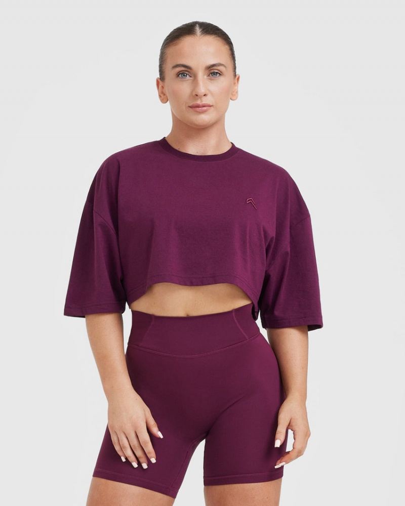 Oner Active κλασικα Relaxed Crop ελαφρια μπλουζακια μωβ | GLX162457