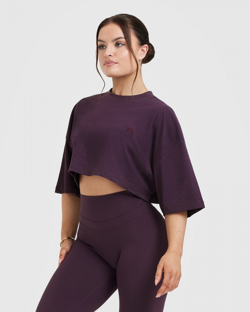 Oner Active κλασικα Relaxed Crop ελαφρια μπλουζακια μωβ | LMJ358746